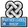 L1 MLSP Partner Leader